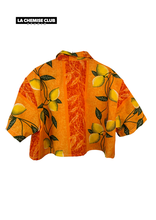 La Chemise Club Studio • Limoni