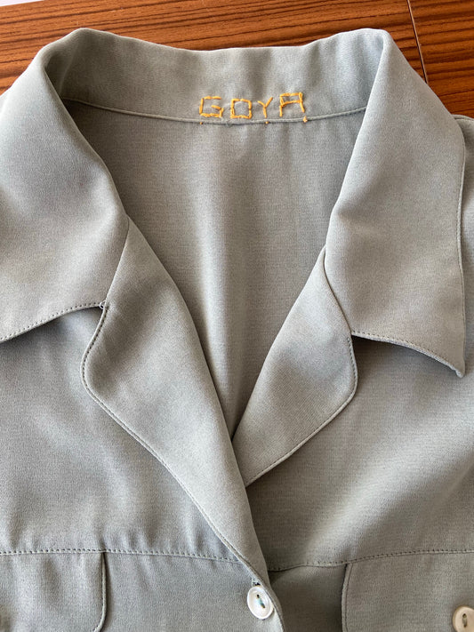 Chemise lichen