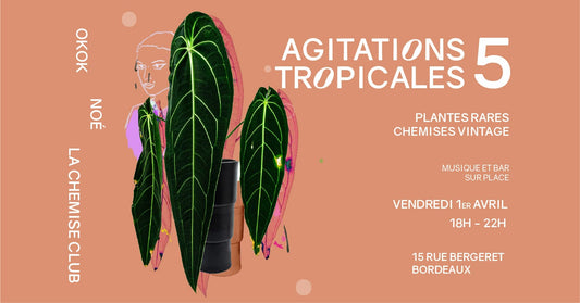 01/04/2022 Agitations Tropicales #5 - Plantes rares - Chemises vintage - Musique & bar