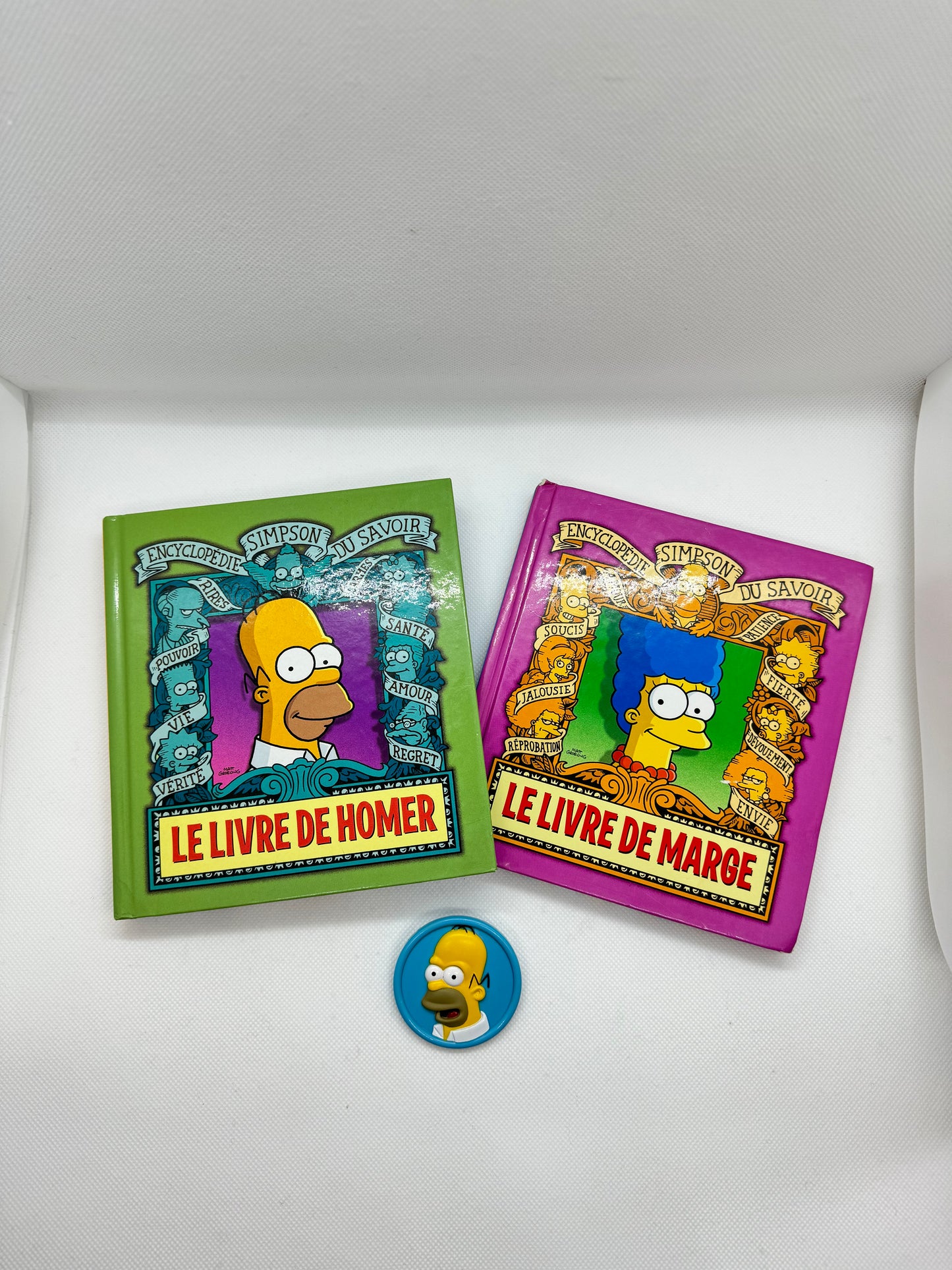 Broche Homer Simpson et livres